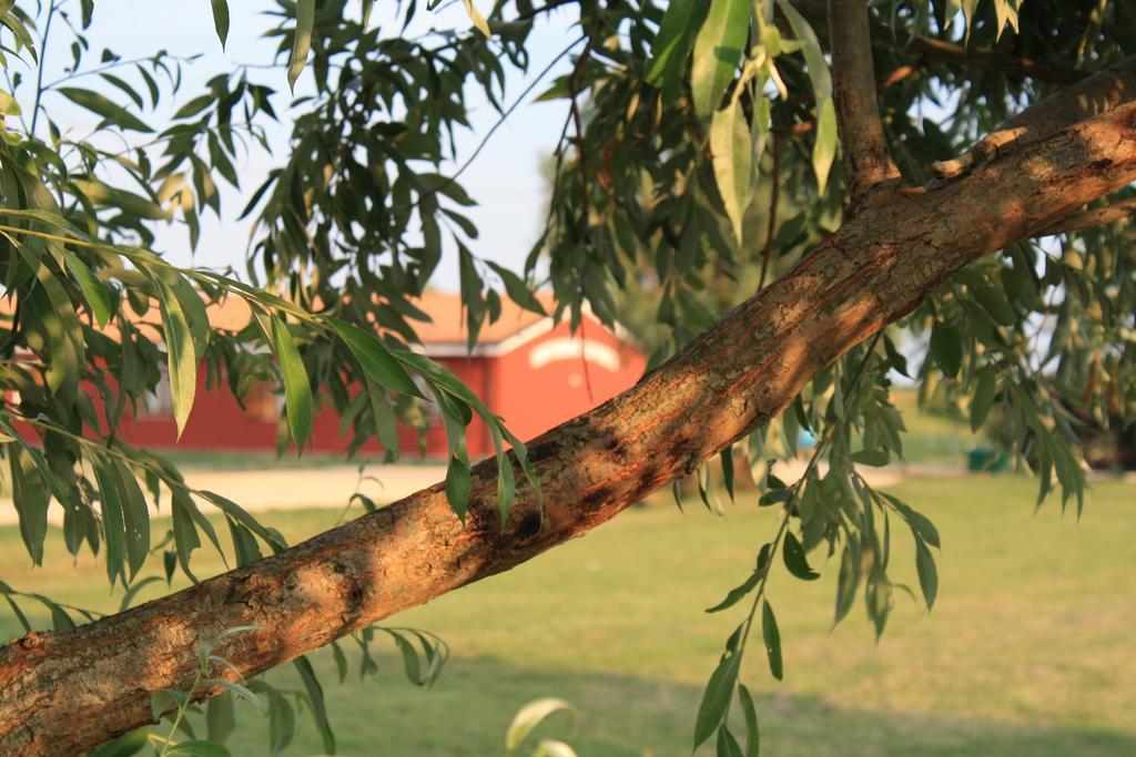 פורטו וירו Agriturismo Ca' Pisani מראה חיצוני תמונה